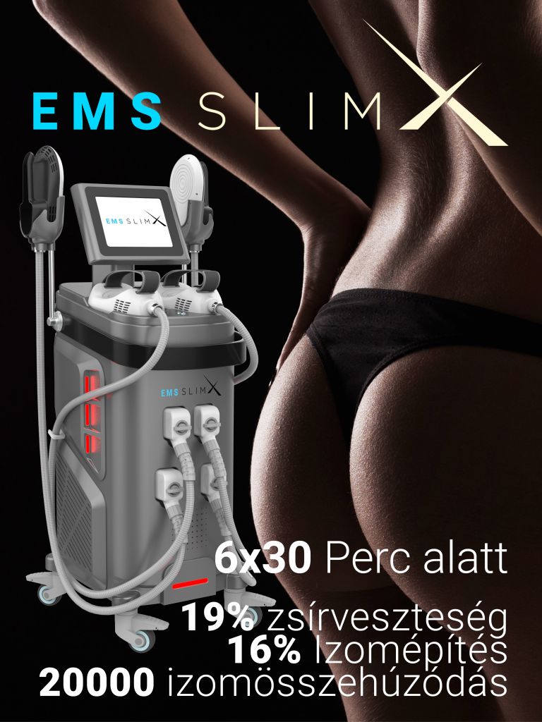 ems slimx poszter new szurke 01 copy 768x1024 1